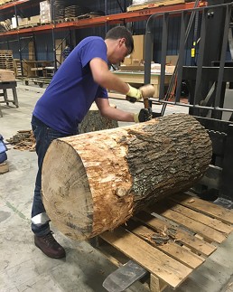 Stripping oak log by hand