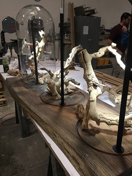 Oak Slab with Vitrines and Rustic Grape Wood branches used for displaying jewelry