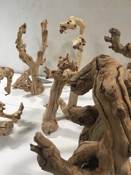 Rustic Grape Wood branches used for displaying jewelry